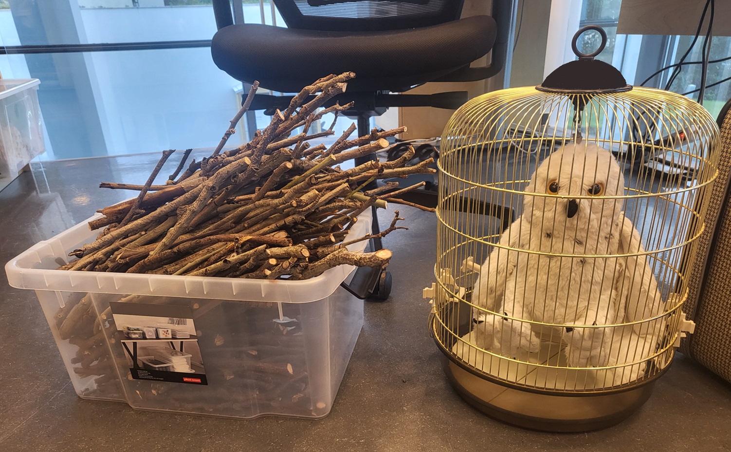 Tree branches in a box and a toy owl in a birdcage