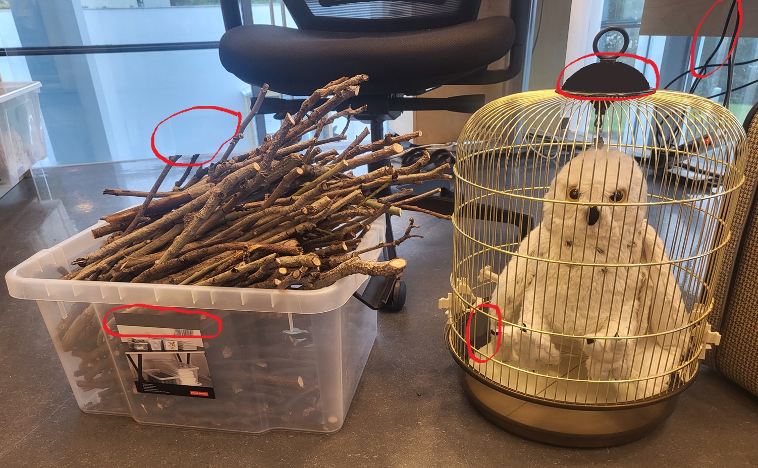 Branches in plastic box and a toy-owl in a cage